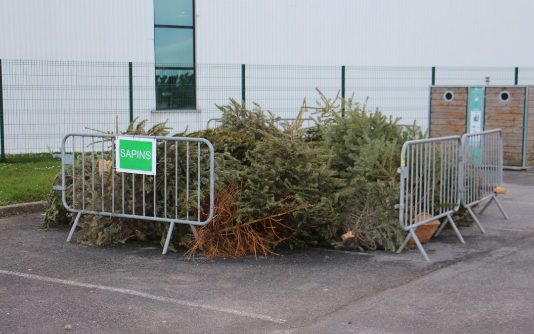 Vos sapins se recyclent !