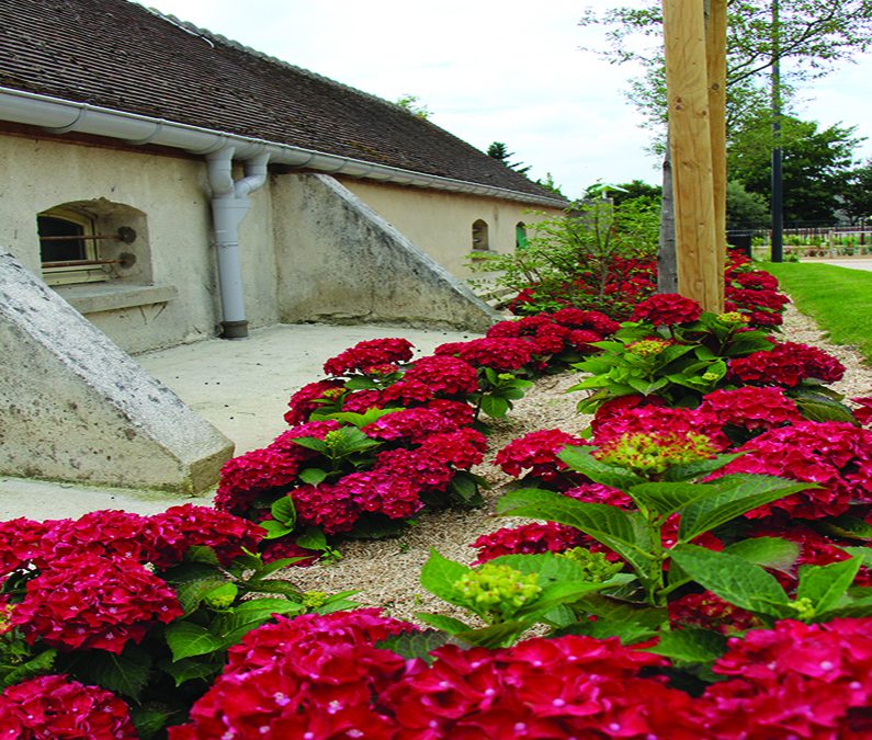 Passage du jury des Villes et Villages fleuris