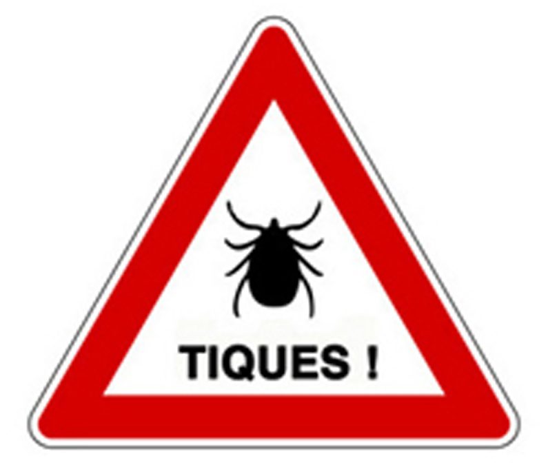 Campagne de prévention maladie de Lyme
