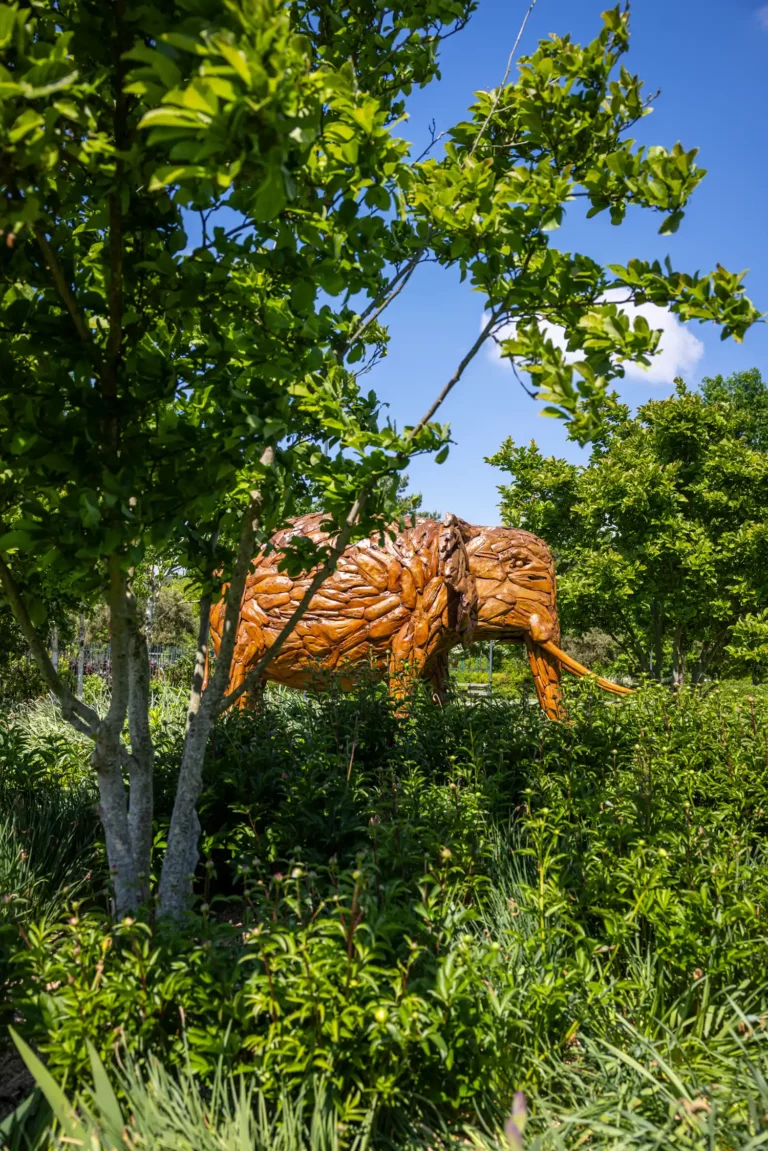 Eléphant derrière un arbre Le Mesnil-Amelot