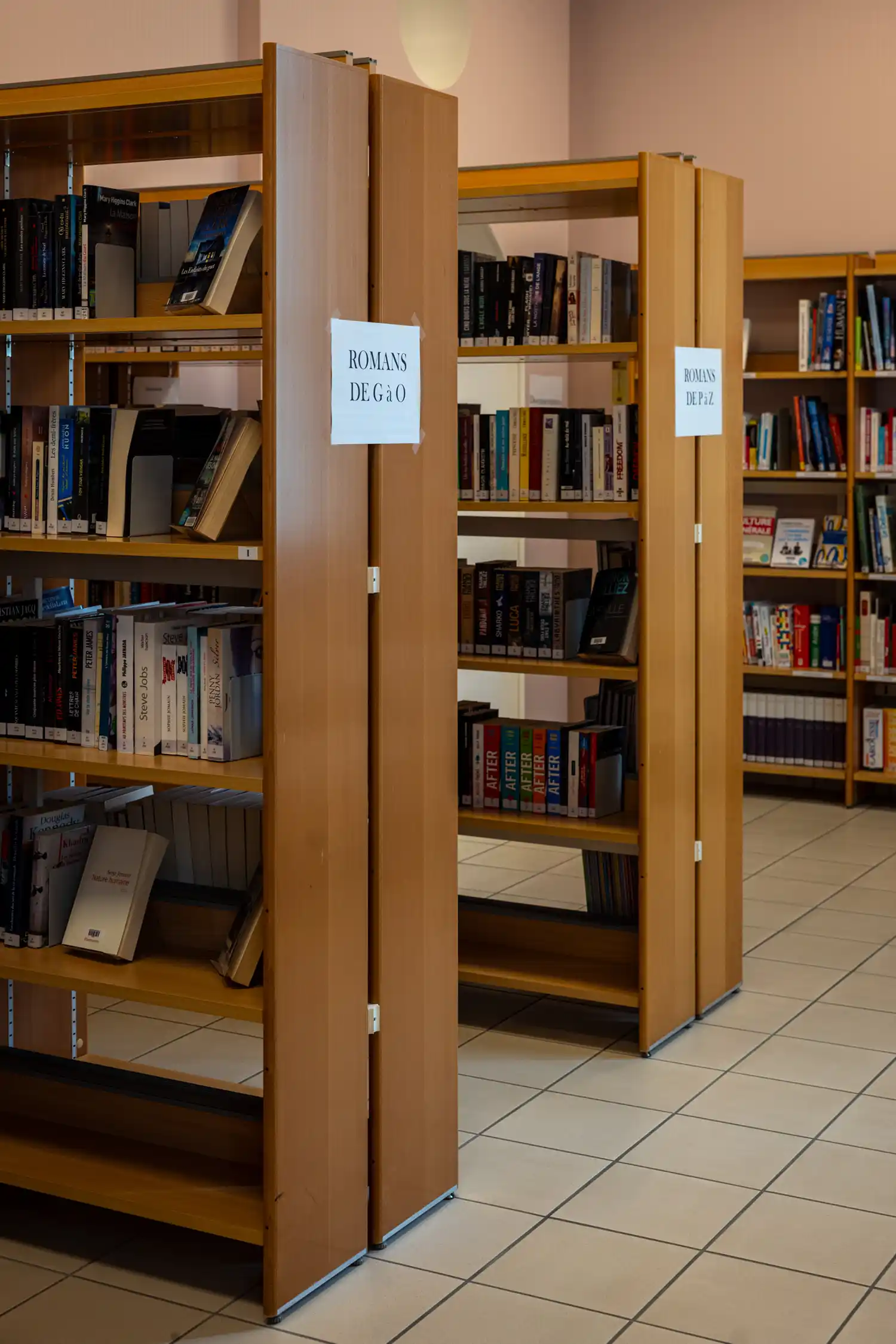 Livres triés de la médiathèque Le Mesnil-Amelot