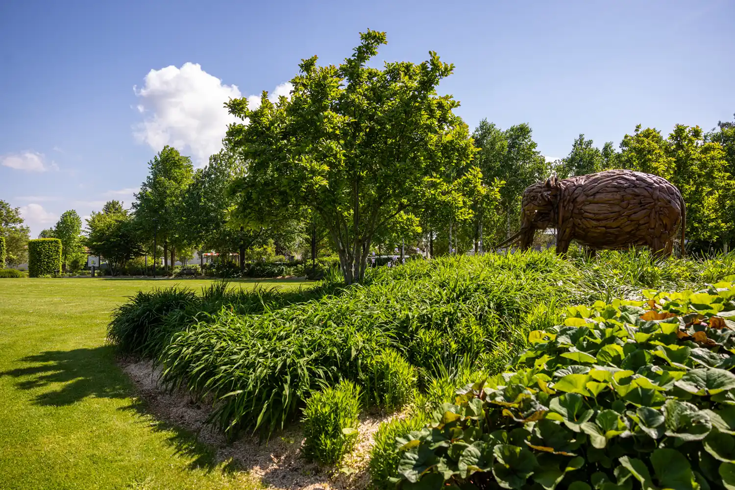 Environnement et Cadre de vie