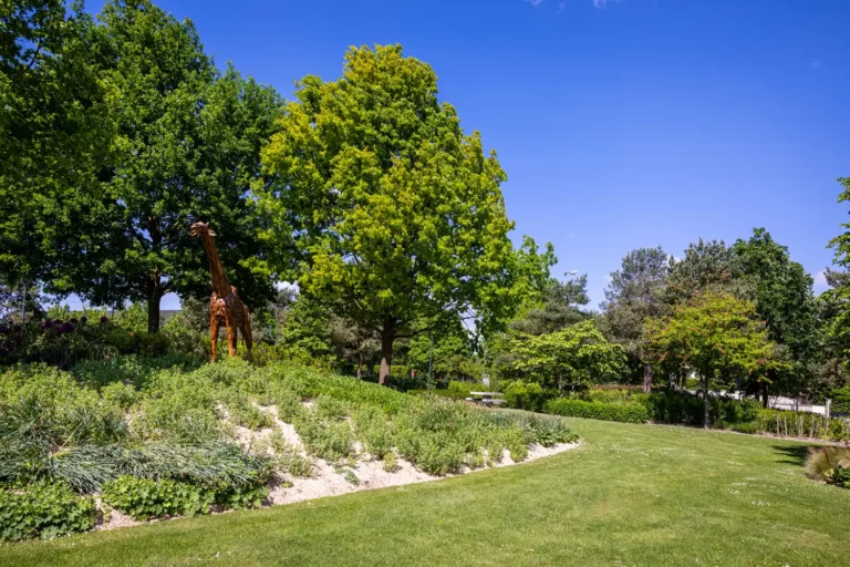 Parc ensoleillé avec une girafe Le Mesnil-Amelot
